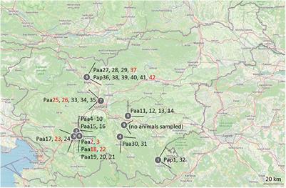 Cultivable Skin Mycobiota of Healthy and Diseased Blind Cave Salamander (Proteus anguinus)